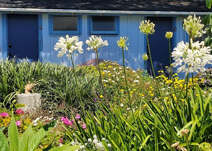 Mendocino Art Center